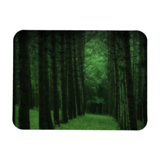 Betoverde Forest Premium Magneet (Horizontaal)