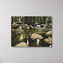 BETOVERDE KREEK DOOR DIEP BOS CANVAS AFDRUK