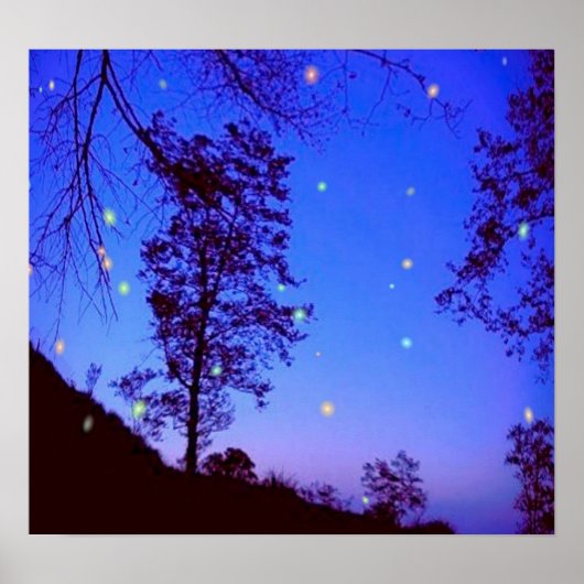 Betoverde nacht Poster (Voorkant)