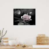 betoverde nachten roze poster (Keuken)