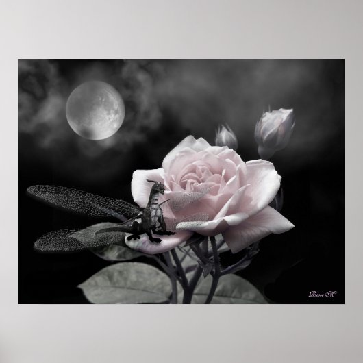 betoverde nachten roze poster (Voorkant)