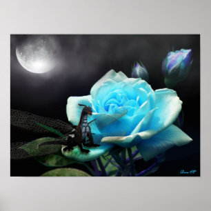 betoverde nachten vol kleur poster