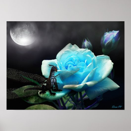 betoverde nachten vol kleur poster (Voorkant)
