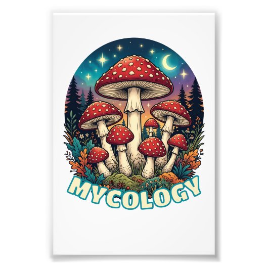 Betoverde Paddenstoelen Kunst van het Woud Foto Afdruk (Voorkant)