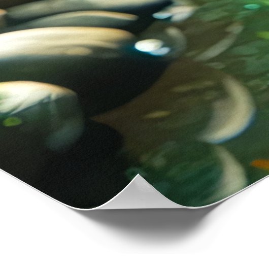 Betoverde Tuindraak Poster (Hoek)