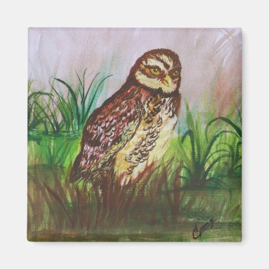 Betoverde uil Waterverf Art Magneet (Voorkant)