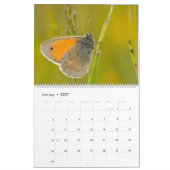 Betoverde Vlinders Kalender (Jan 2027)
