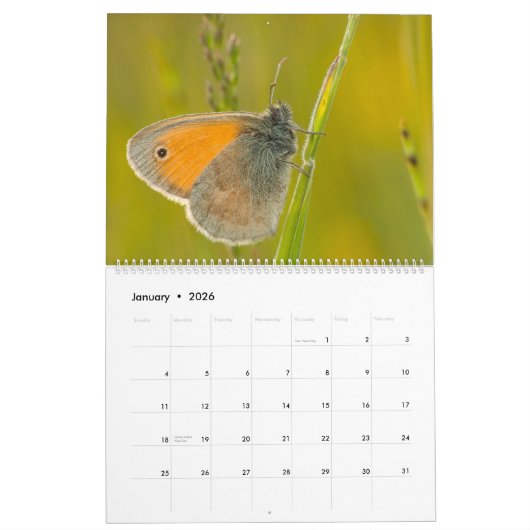 Betoverde Vlinders Kalender (Jan 2026)