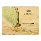 Betoverde Vlinders Kalender (Hoes)
