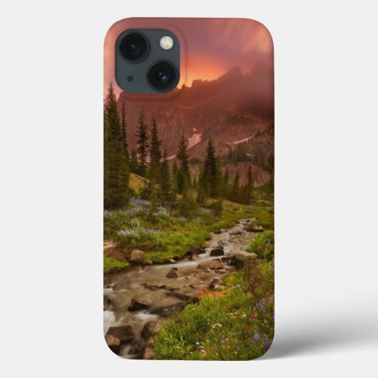 Betoverde weiden Case-Mate iPhone case (Achterkant)
