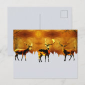 Betoverend Bostrio: Oosterse hertenkunst Briefkaart (Voorkant / Achterkant)