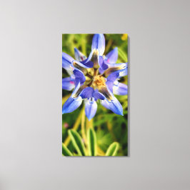 betoverende bloem luchtfoto lente flora collectie canvas afdruk
