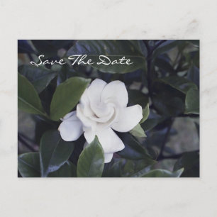 Betoverende Gardenia Save The Date Ansichtkaart Aankondigingskaart