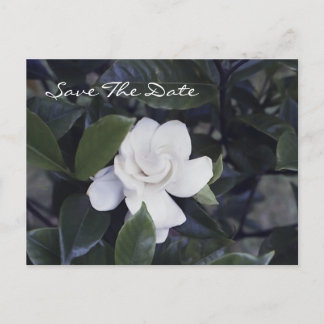 Betoverende Gardenia Save The Date Ansichtkaart Aankondigingskaart