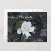 Betoverende Gardenia Save the Date Briefkaart (Voorkant / Achterkant)