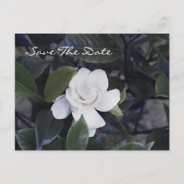 Betoverende Gardenia Save the Date Briefkaart