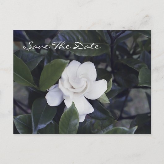 Betoverende Gardenia Save the Date Briefkaart (Voorkant)
