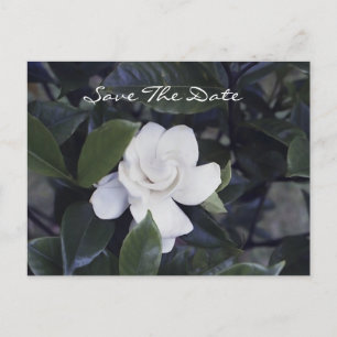 Betoverende Gardenia Save the Date Briefkaart