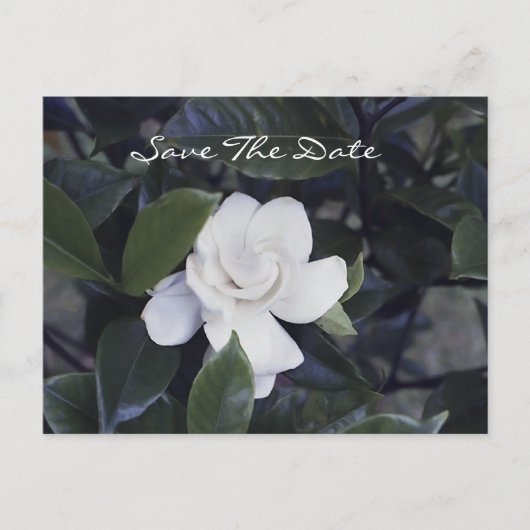 Betoverende Gardenia Save the Date Briefkaart (Voorkant)