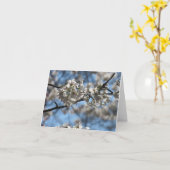 Betoverende Kersenbloesem Wenskaart Kaart (Gele Bloem)