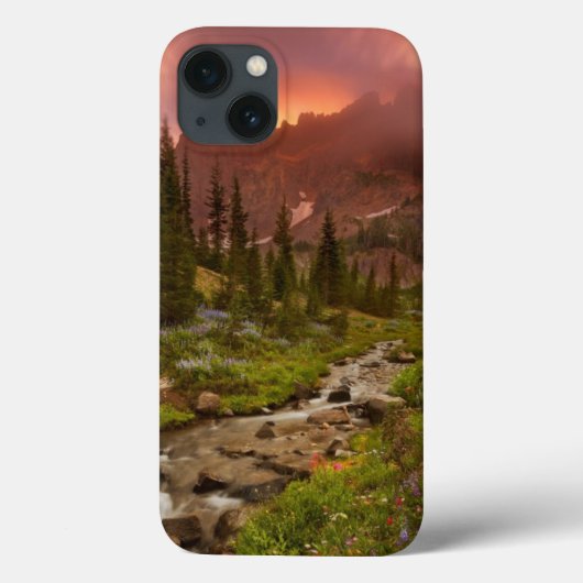 betoverende meadows Case-Mate iPhone case (Achterkant)