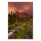 betoverende meadows poster (Voorkant)