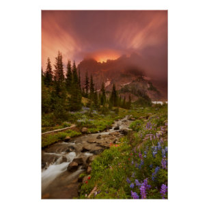 betoverende meadows poster