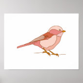 Betoverende met de hand getekende vogelkunst poster (Voorkant)