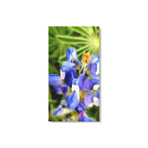 Betoverende natuur lente flora collectie