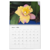 Betoverende orchideeën kalender (Mar 2026)