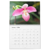 Betoverende orchideeën kalender (Jan 2026)