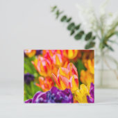 Betoverende tulpen briefkaart (Staand voorkant)