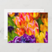 Betoverende tulpen briefkaart (Voorkant / Achterkant)