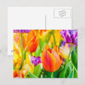 Betoverende tulpen briefkaart (Voorkant / Achterkant)