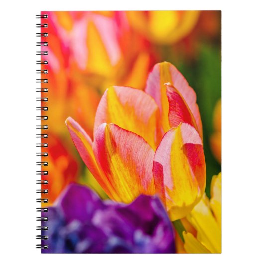 Betoverende tulpen notitieboek (Voorkant)