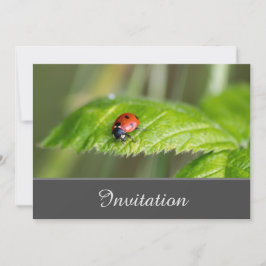 Betoverende uitnodigingskaart met lieveheersbeestj kaart