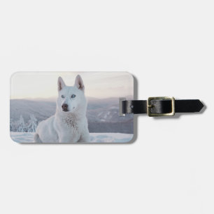 Betoverende witte husky-hond in de sneeuw bagagelabel