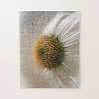 Betoverende Witte Zwaan Echinacea Puzzel