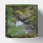 Betoveringen van de aarde bedankdoosjes (Bovenkant)