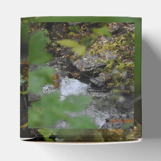 Betoveringen van de aarde bedankdoosjes (Bovenkant)