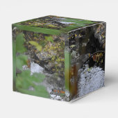 Betoveringen van de aarde bedankdoosjes (Achterkant)