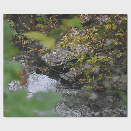 Betoveringen van de aarde cadeaupapier (Vlak)