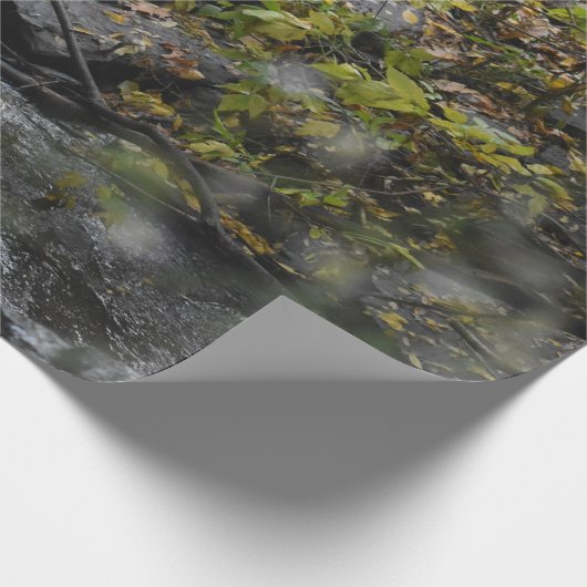 Betoveringen van de aarde cadeaupapier (Hoek)