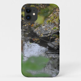 Betoveringen van de aarde Case-Mate iPhone case