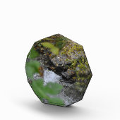 Betoveringen van de aarde fotoblokken (Rechts)