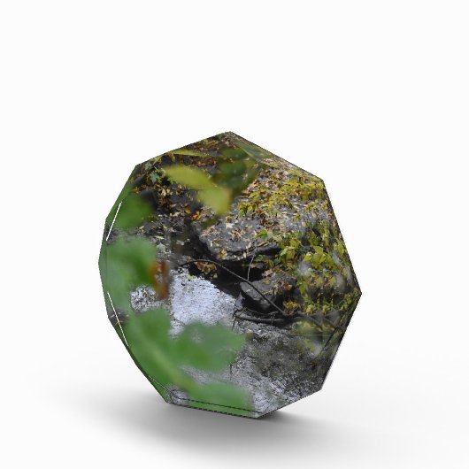 Betoveringen van de aarde fotoblokken (Rechts)