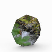 Betoveringen van de aarde fotoblokken (Links)