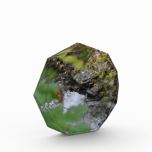 Betoveringen van de aarde fotoblokken (Links)