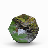 Betoveringen van de aarde fotoblokken (Voorkant)