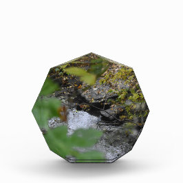 Betoveringen van de aarde fotoblokken